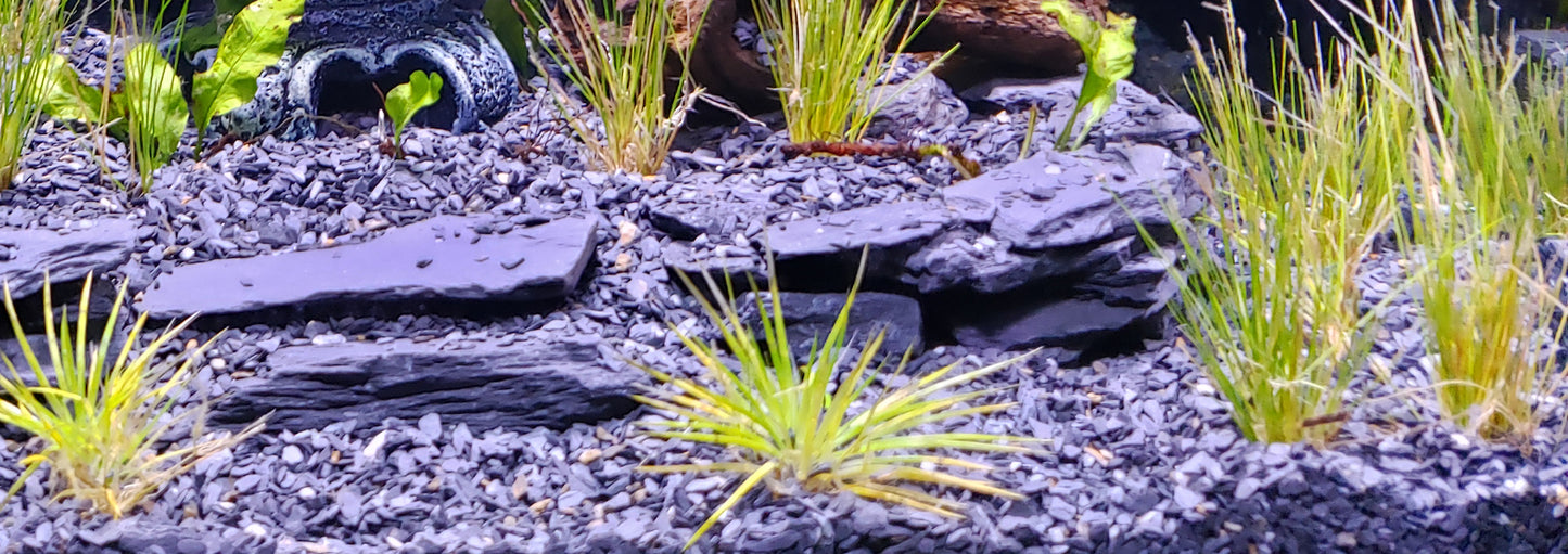 Slate | 1/2 to 1 inch