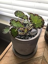 Slate Gravel | 1/8"-1/4"