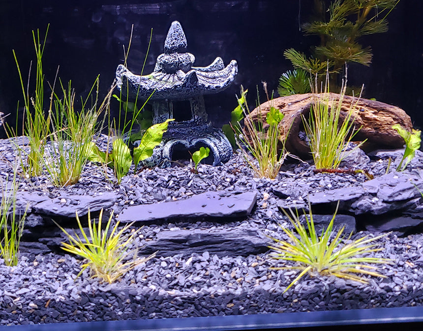 Slate | 3 to 5 Inches