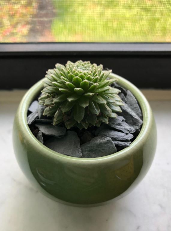 Natural Slate Stone - 1/4 to 1/2 inch - Small World Slate & Stone