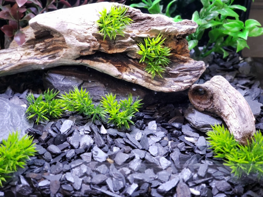 Slate Gravel | 1/4 to 1/2 inch