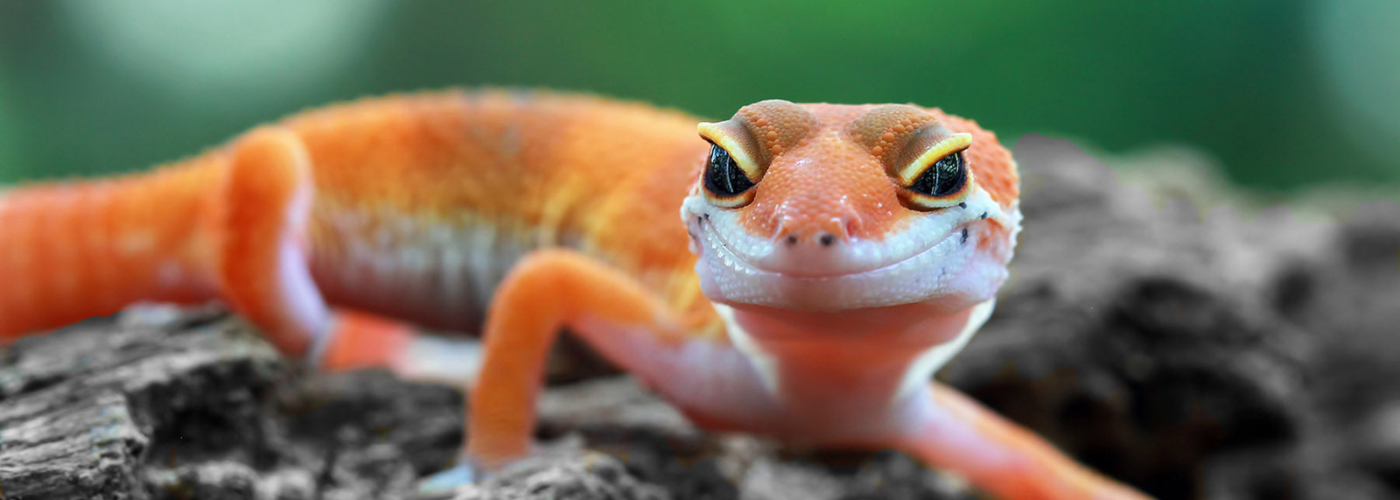 All Gravel and Stone