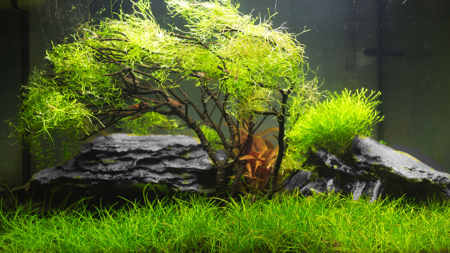 Aquarium Stone and Gravel