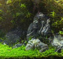 Natural Slate/Quartz Aquarium Stones - Size 1 to 3 Inch (5 lbs) - Small World Slate & Stone