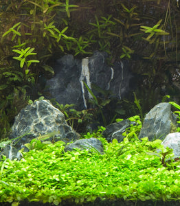 Natural Slate/Quartz Aquarium Stones - Size 5 to 7 Inches - Small World Slate & Stone