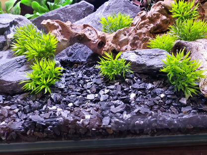 Natural Slate Gravel | Aquarium Substrate 1/8 to 1/4 inch