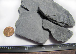 Slate 1 to 3 inch -  image for size reference of slate stone. aquarium, reptiles, crafts